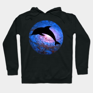 Galactic Dolphin Hoodie